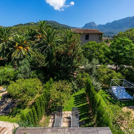 Ca's Curial - - Adults Only * Soller