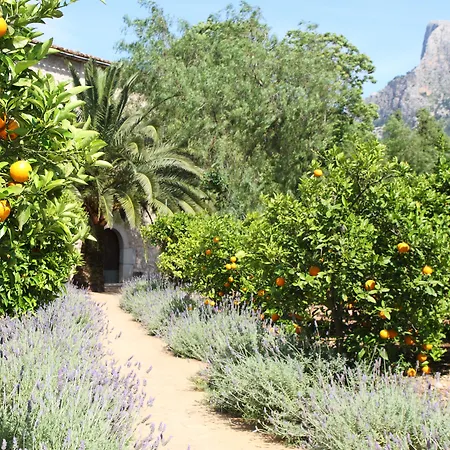 Ca's Curial - - Adults Only Farm stay *