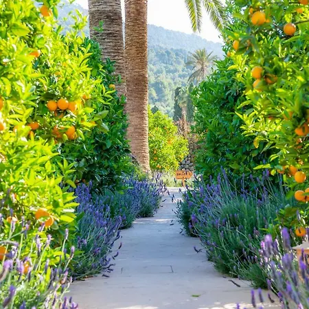 Ca's Curial - - Adults Only Farm stay Soller