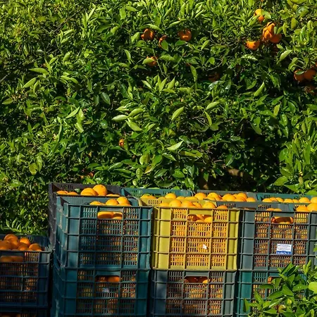 Ca's Curial - - Adults Only Farm stay *