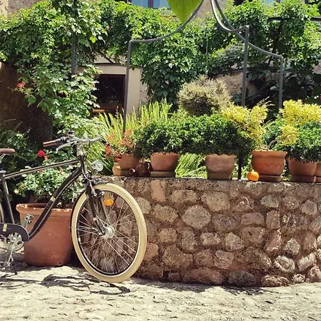 Ca's Curial - - Adults Only Farm stay