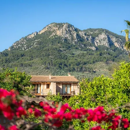 Ca's Curial - - Adults Only Farm stay Soller
