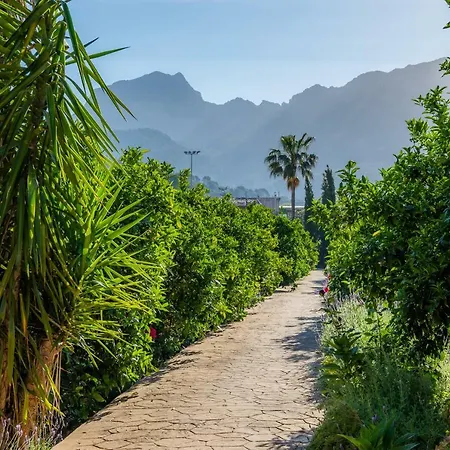 Farm stay Ca's Curial - - Adults Only *