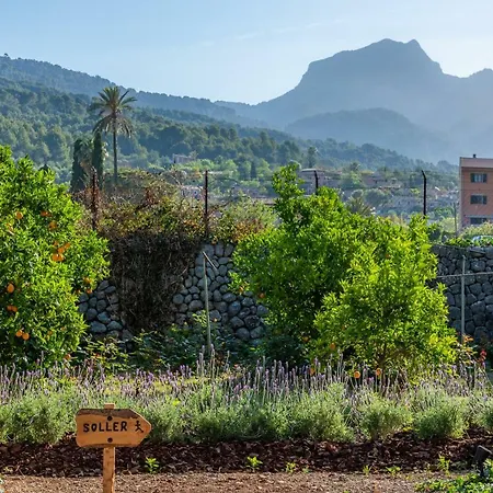 Vakantieboerderij Ca's Curial - - Adults Only Sóller