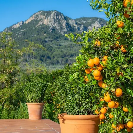 Farm stay Ca's Curial - - Adults Only *
