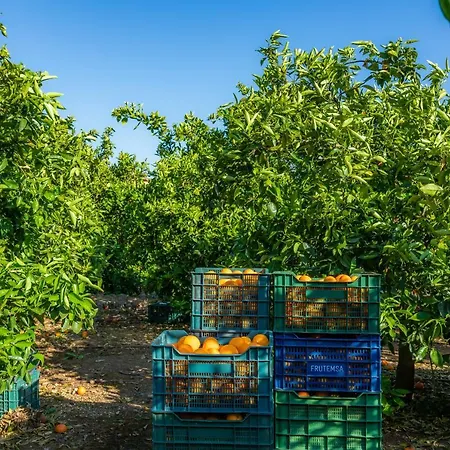 Ca's Curial - - Adults Only Farm stay *