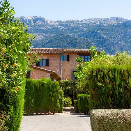 Ca's Curial - - Adults Only * Soller